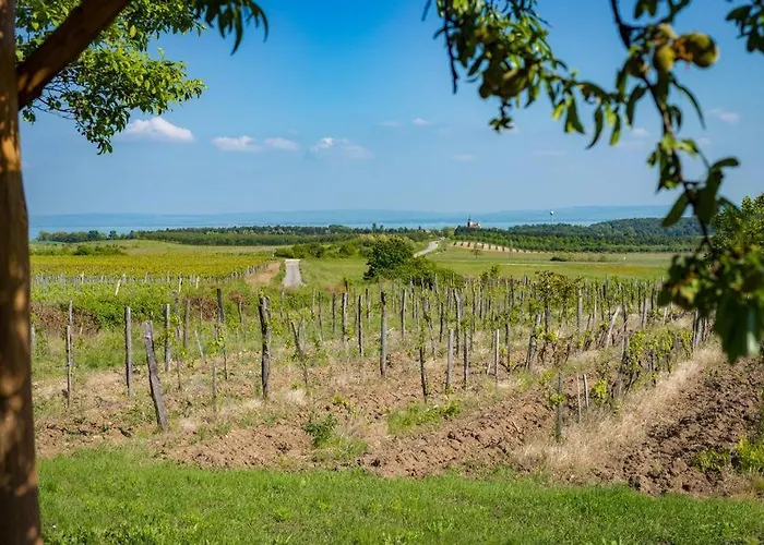 Hébergement de vacances Berkenye-lak *